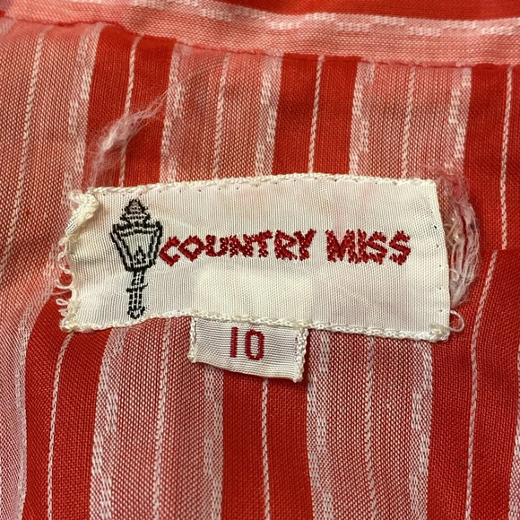 Vintage Country Miss Striped Button Down Collared Dress - Picture 3 of 7